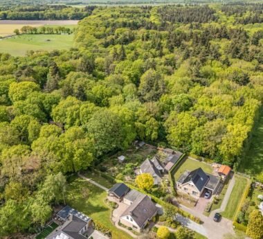 Hoofdafbeelding Stiendollen 25